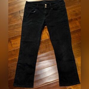 American Eagle Artist Crop Capris